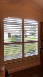 Low-Budget Blinds Tampa