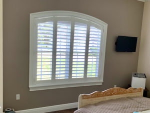 Window Shutters Lutz